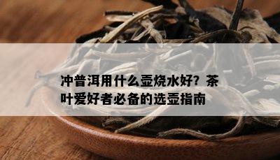 冲普洱用什么壶烧水好？茶叶爱好者必备的选壶指南