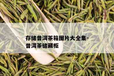 存储普洱茶箱图片大全集-普洱茶储藏柜