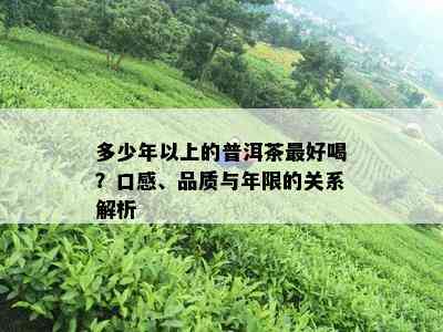 多少年以上的普洱茶更好喝？口感、品质与年限的关系解析