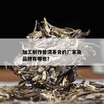 加工制作普洱茶膏的厂家及品牌有哪些？