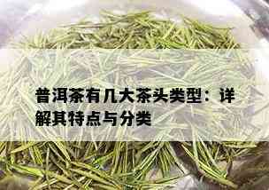 普洱茶有几大茶头类型：详解其特点与分类