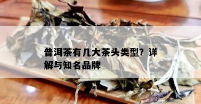 普洱茶有几大茶头类型？详解与知名品牌