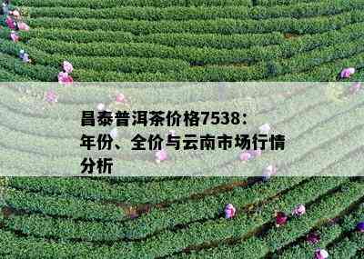 昌泰普洱茶价格7538：年份、全价与云南市场行情分析