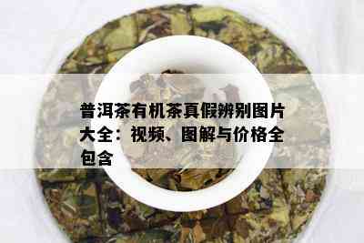 普洱茶有机茶真假辨别图片大全：视频、图解与价格全包含