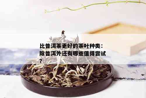 比普洱茶更好的茶叶种类：除普洱外还有哪些值得尝试？