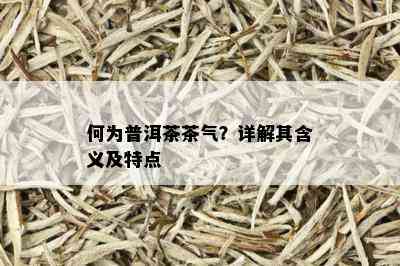 何为普洱茶茶气？详解其含义及特点