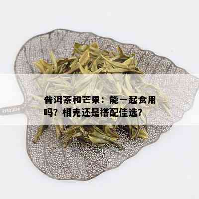 普洱茶和芒果：能一起食用吗？相克还是搭配佳选？