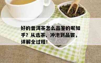 好的普洱茶怎么品鉴的呢知乎？从选茶、冲泡到品尝，详解全过程！