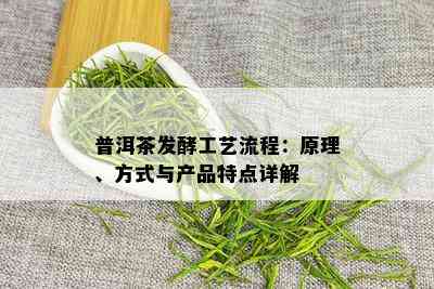 普洱茶发酵工艺流程：原理、方式与产品特点详解