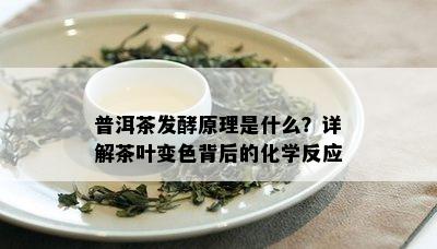 普洱茶发酵原理是什么？详解茶叶变色背后的化学反应