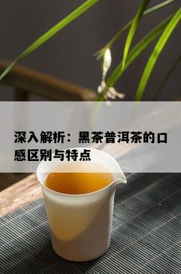 深入解析：黑茶普洱茶的口感区别与特点