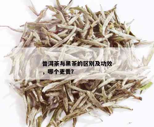 普洱茶与黑茶的区别及功效，哪个更贵？