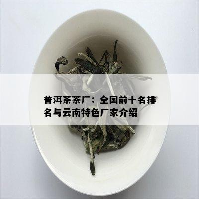 普洱茶茶厂：全国前十名排名与云南特色厂家介绍