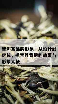 普洱茶品牌形象：从设计到定位，探索其背后的故事与形象大使