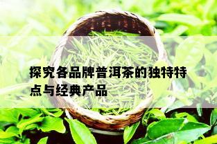 探究各品牌普洱茶的独特特点与经典产品