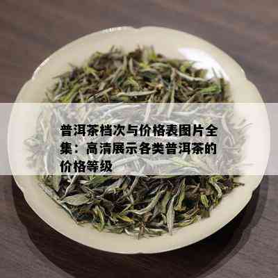 普洱茶档次与价格表图片全集：高清展示各类普洱茶的价格等级