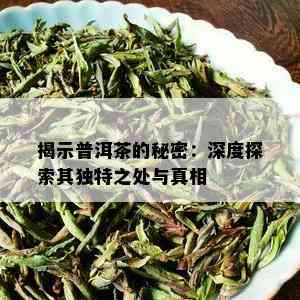 揭示普洱茶的秘密：深度探索其独特之处与真相