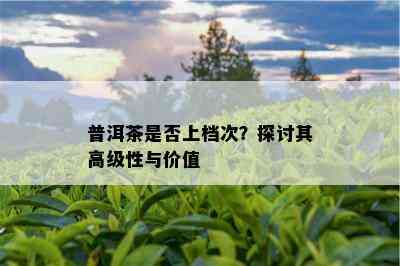 普洱茶是否上档次？探讨其高级性与价值