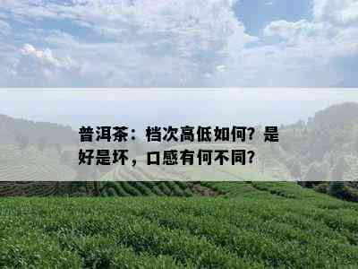 普洱茶：档次高低如何？是好是坏，口感有何不同？