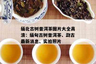 缅北古树普洱茶图片大全高清：缅甸古树普洱茶、勐古最新消息、实拍照片