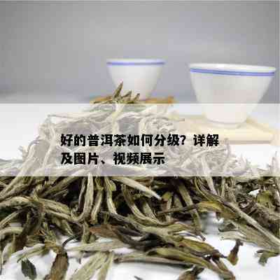 好的普洱茶如何分级？详解及图片、视频展示