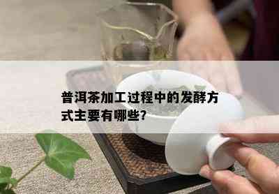 普洱茶加工过程中的发酵方式主要有哪些？