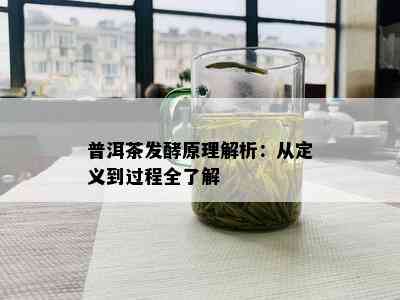 普洱茶发酵原理解析：从定义到过程全了解