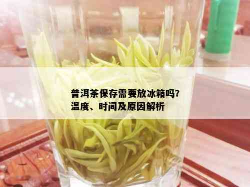 普洱茶保存需要放冰箱吗？温度、时间及原因解析