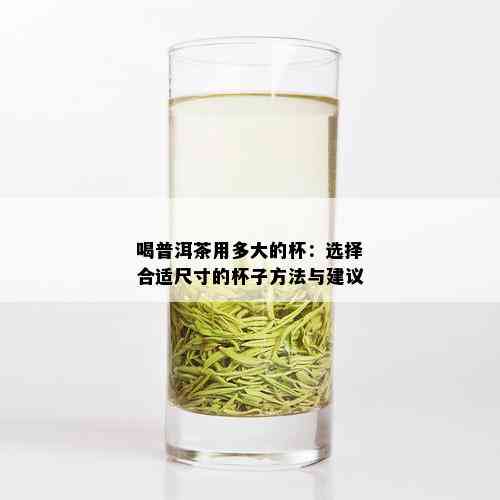 喝普洱茶用多大的杯：选择合适尺寸的杯子方法与建议