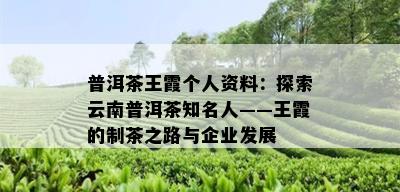 普洱茶王霞个人资料：探索云南普洱茶知名人——王霞的制茶之路与企业发展