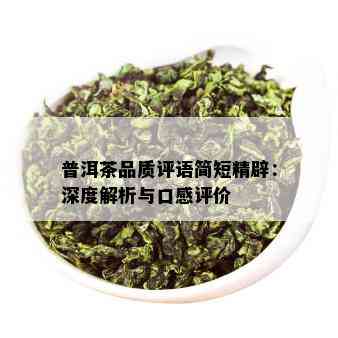 普洱茶品质评语简短精辟：深度解析与口感评价