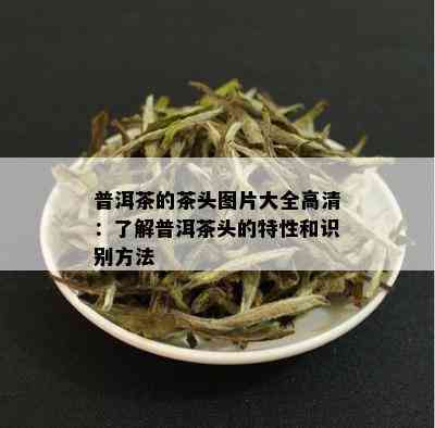 普洱茶的茶头图片大全高清：了解普洱茶头的特性和识别方法