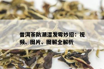 普洱茶防潮湿发霉妙招：视频、图片、图解全解析