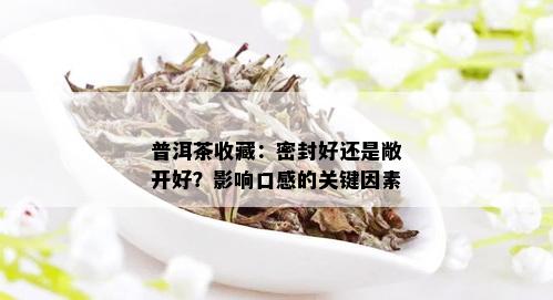 普洱茶收藏：密封好还是敞开好？影响口感的关键因素