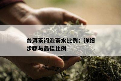 普洱茶闷泡茶水比例：详细步骤与更佳比例