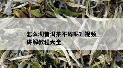 怎么沏普洱茶不碎呢？视频讲解教程大全