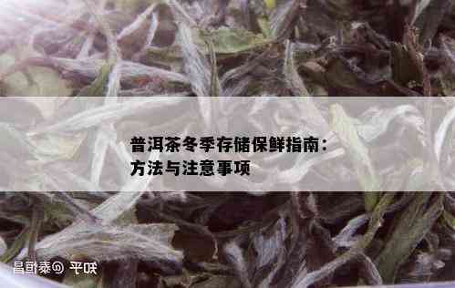 普洱茶冬季存储保鲜指南：方法与注意事项