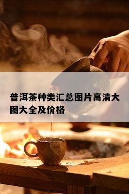 普洱茶种类汇总图片高清大图大全及价格