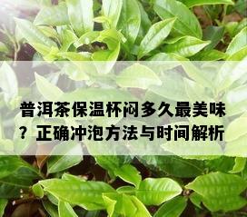 普洱茶保温杯闷多久最美味？正确冲泡方法与时间解析