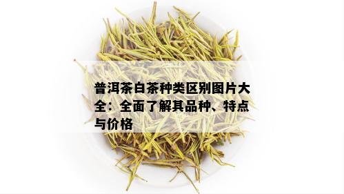 普洱茶白茶种类区别图片大全：全面了解其品种、特点与价格