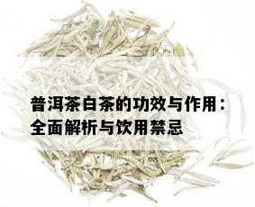 普洱茶白茶的功效与作用：全面解析与饮用禁忌