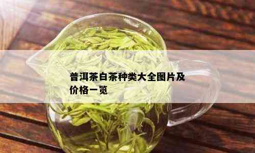 普洱茶白茶种类大全图片及价格一览