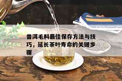 普洱毛料更佳保存方法与技巧，延长茶叶寿命的关键步骤