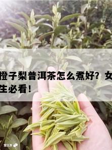 橙子梨普洱茶怎么煮好？女生必看！