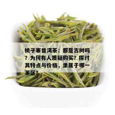 桃子寨普洱茶：都是古树吗？为何有人质疑购买？探讨其特点与价格，隶属于哪一茶区？