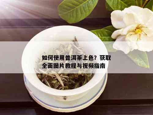 如何使用普洱茶上色？获取全面图片教程与视频指南