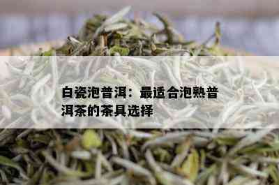 白瓷泡普洱：最适合泡熟普洱茶的茶具选择