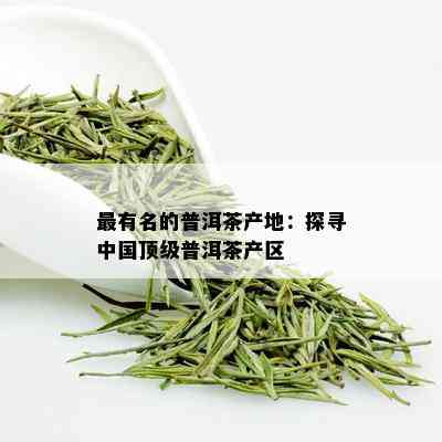 最有名的普洱茶产地：探寻中国顶级普洱茶产区