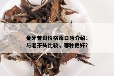 金牙普洱价格及口感介绍：与老茶头比较，哪种更好？