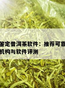 鉴定普洱茶软件：推荐可靠机构与软件评测